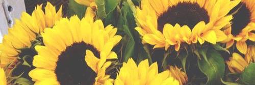 DanielithGomez's profile banner image