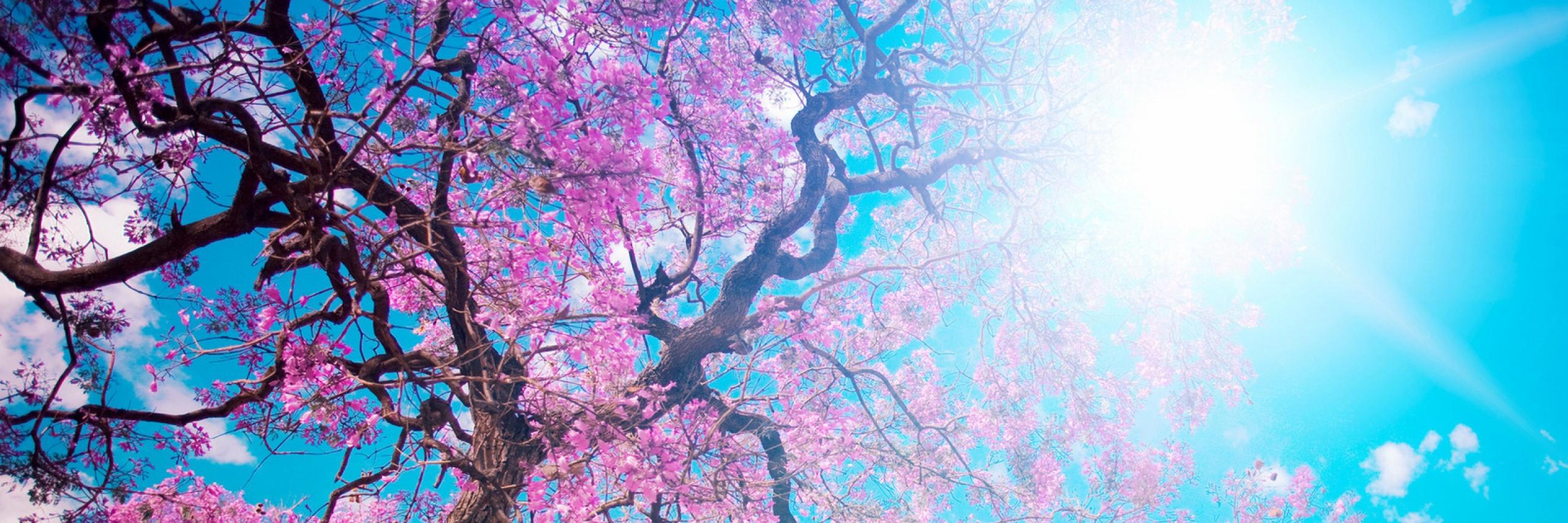Brendaaa_'s profile banner image