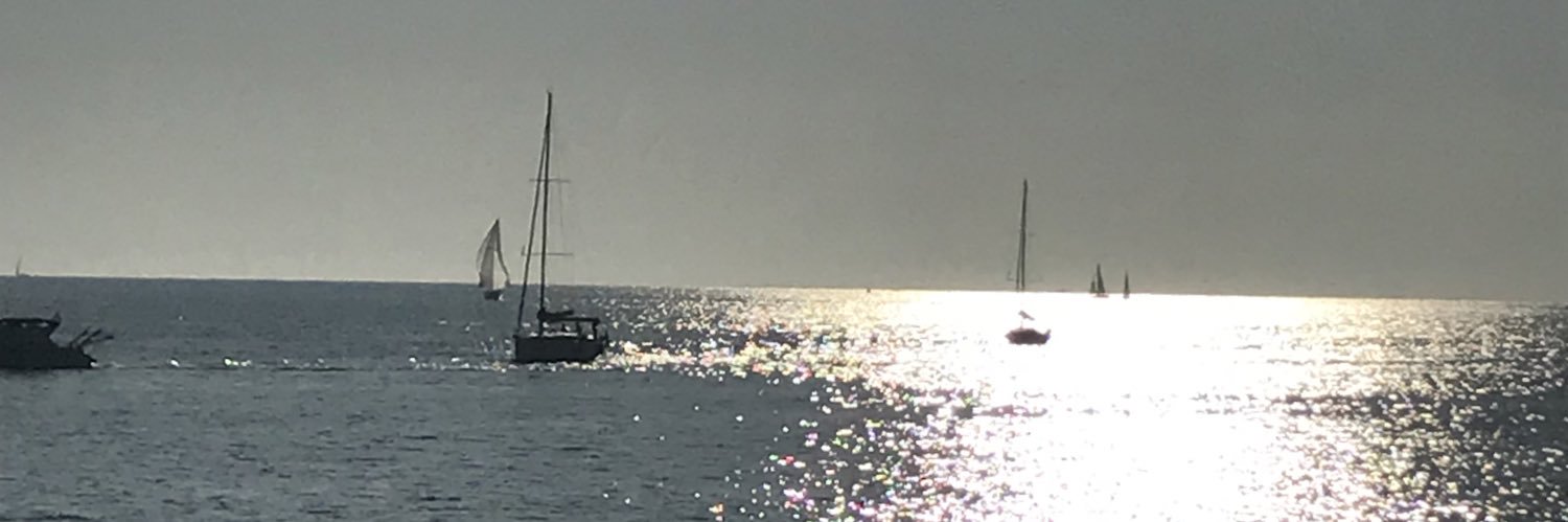Romina Cavatassi banner