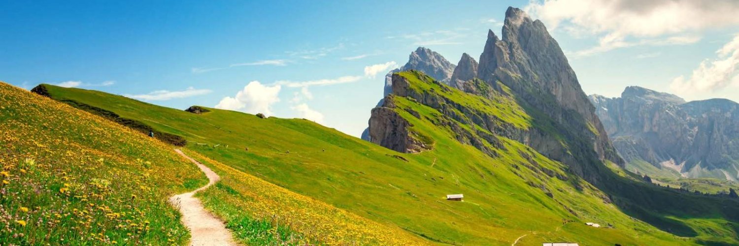 _mesut_ gençer. banner