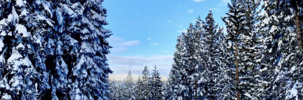 lysslay's profile banner image