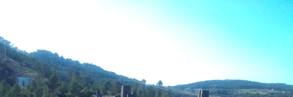 LpezP3378's profile banner image