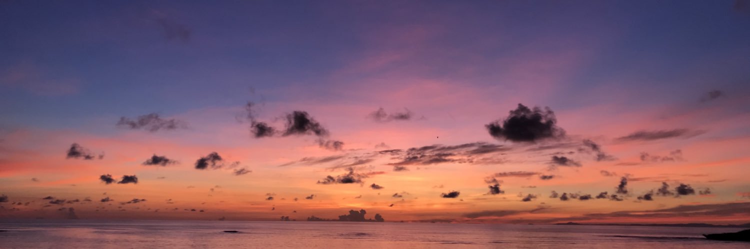 trishagabrielle's profile banner image
