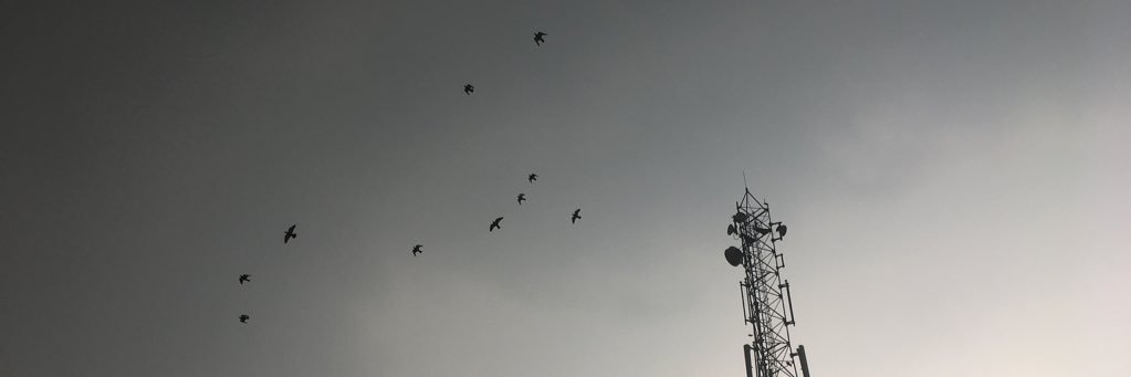 vizz878's profile banner image