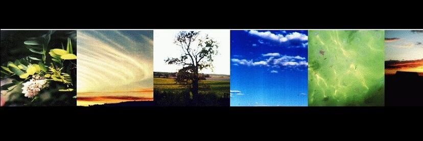HFRudolph's profile banner image