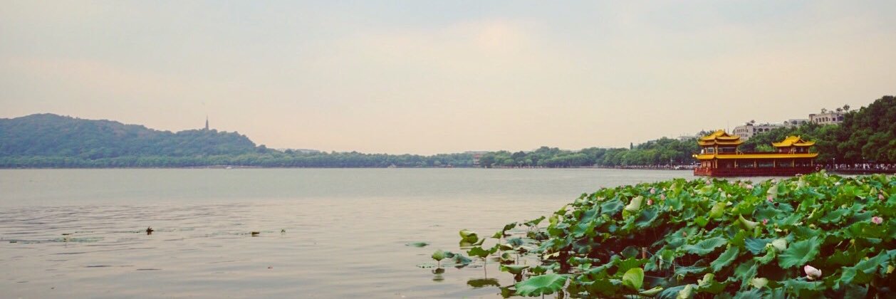 cowry's profile banner image