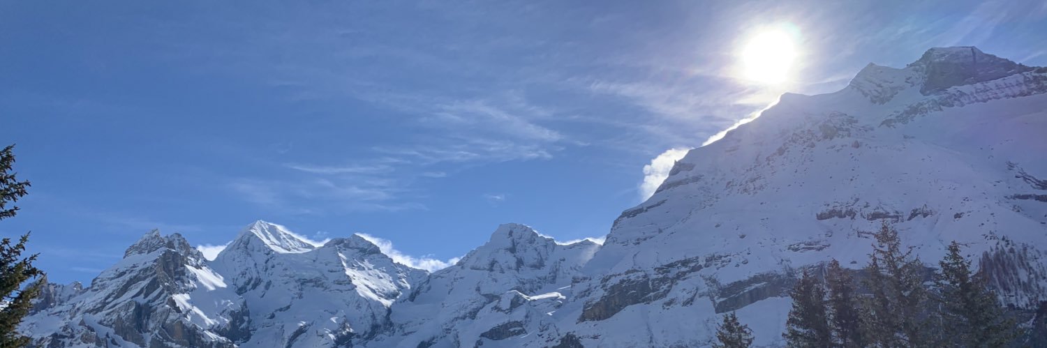 Carėne Tardy's banner