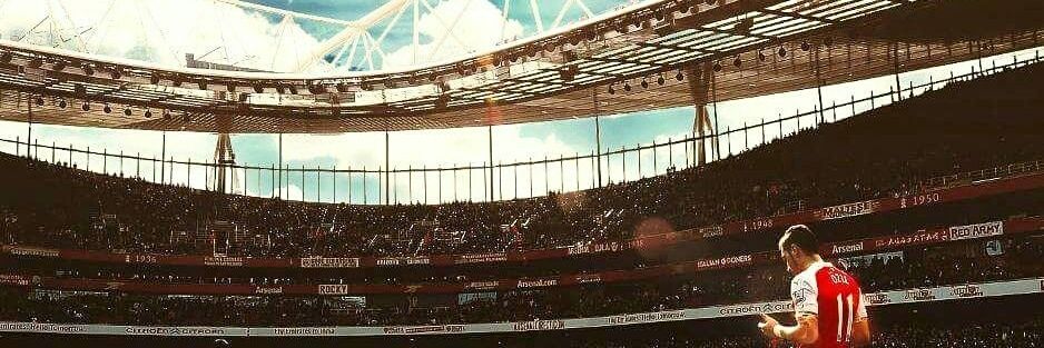 Safinho banner