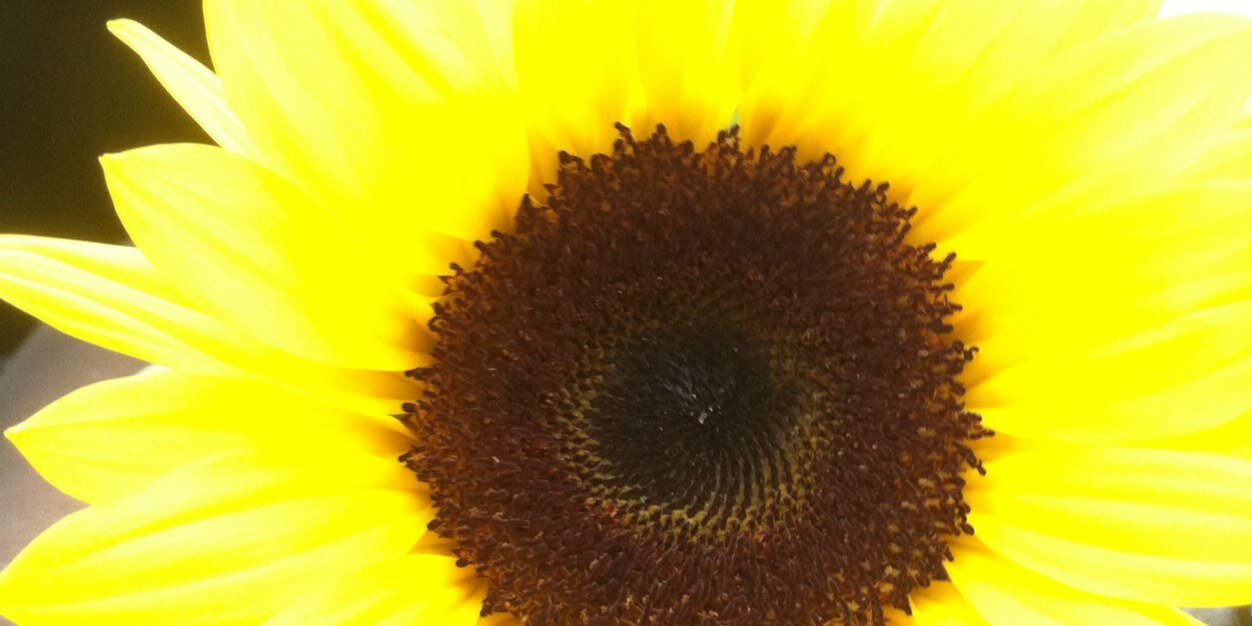 emmabates92's profile banner image