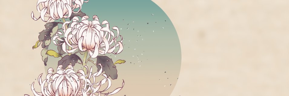 t0kka's profile banner image