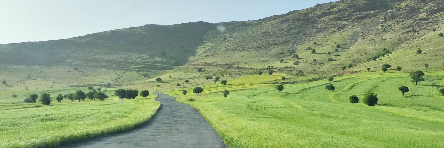 mrymHeydar's profile banner image