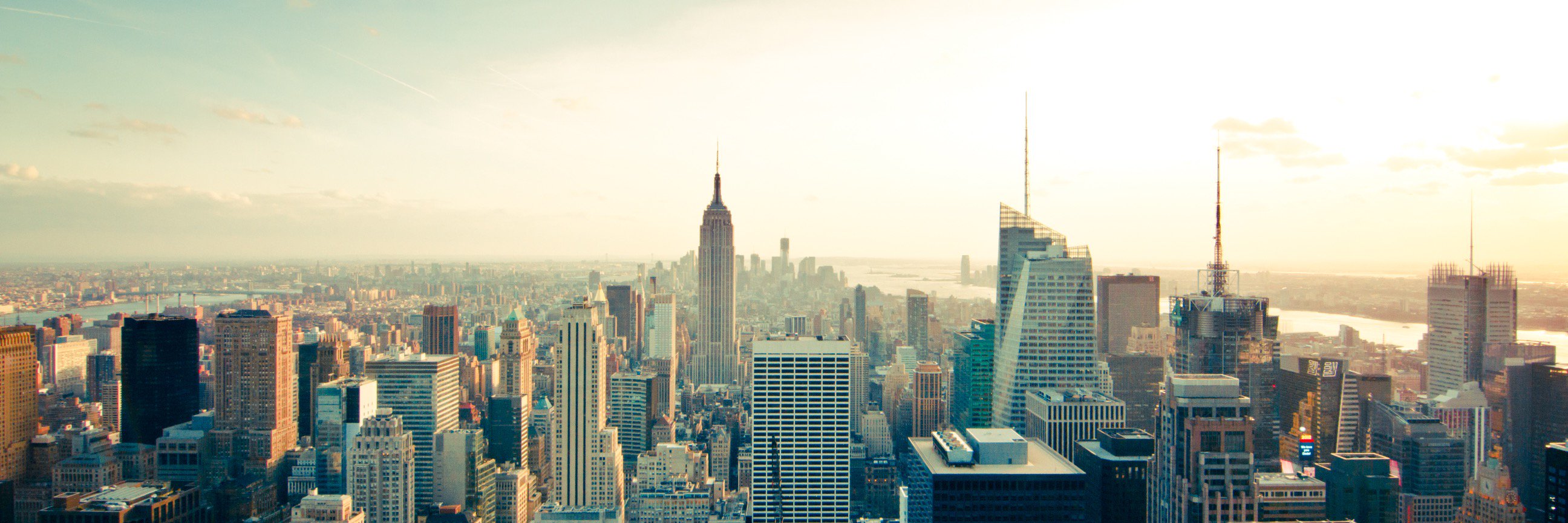 Daniel Chapman banner