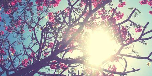 verena ✨ banner