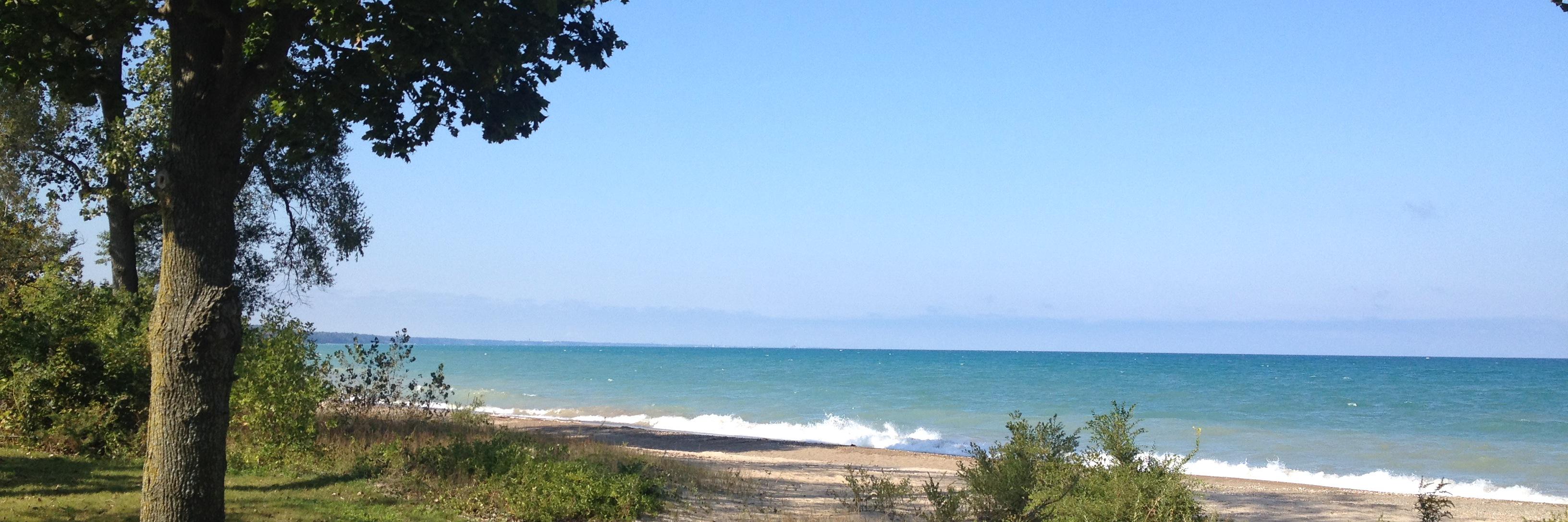 Nancy Rotering 🟧 banner