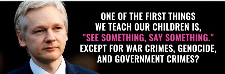 D Wailer 🟠 banner