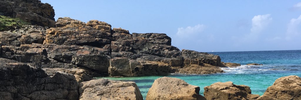 Paul Upton 🖤❤️🤍💚🐺 banner