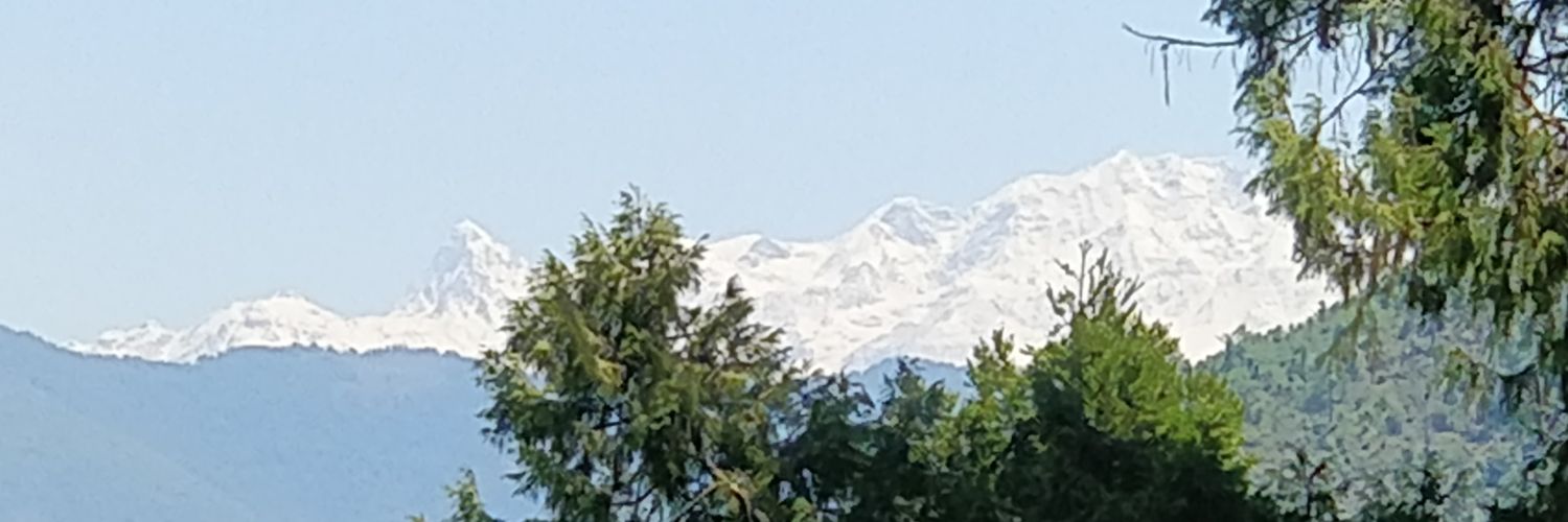 debubhatnagar's profile banner image
