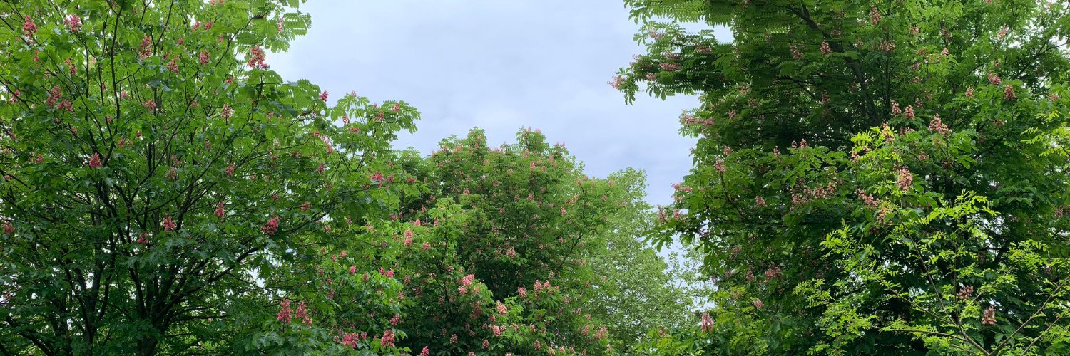 Matamissile's profile banner image
