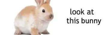 Lizavaette's profile banner image