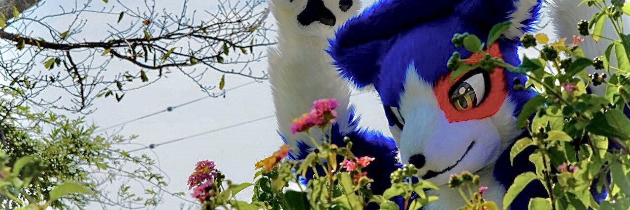 dottoblue's profile banner image