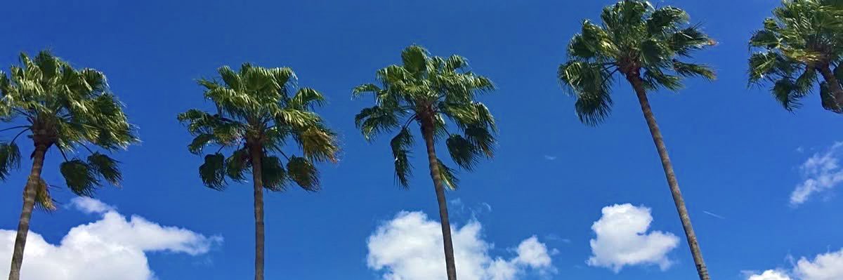 dangerxbieber's profile banner image