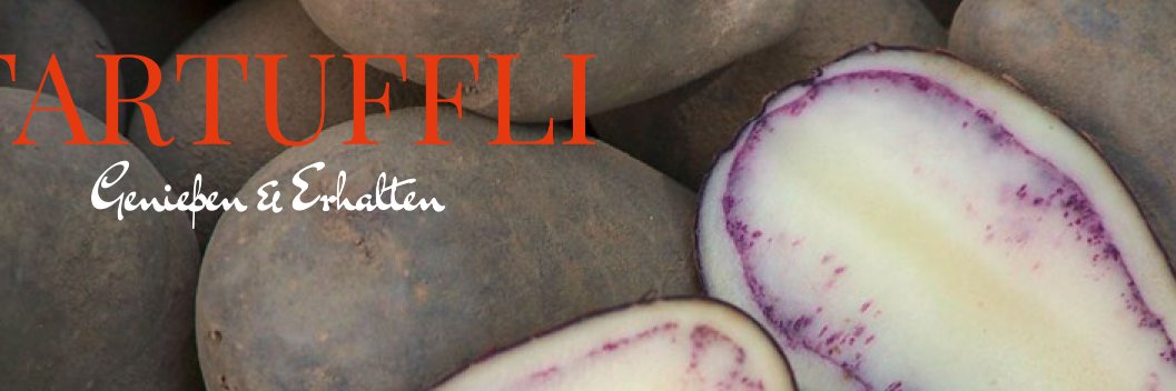 Tartufflis's profile banner image