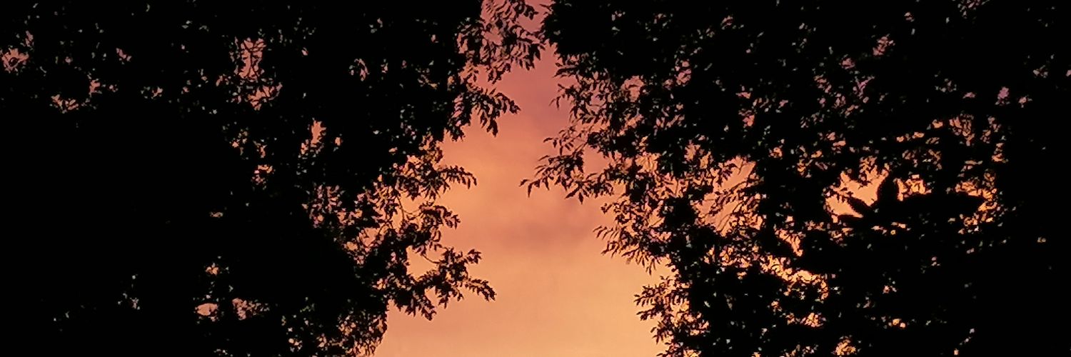 NicciBGirl's profile banner image