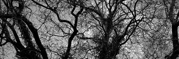 Tamseel_h Profile Banner