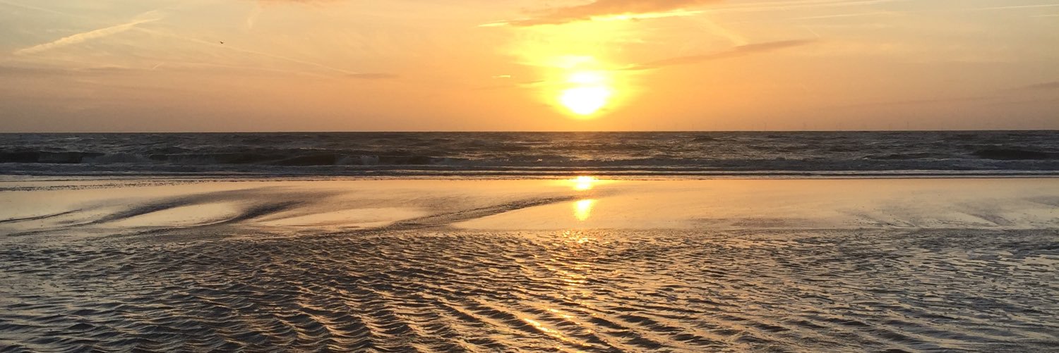 veraversteeg's profile banner image