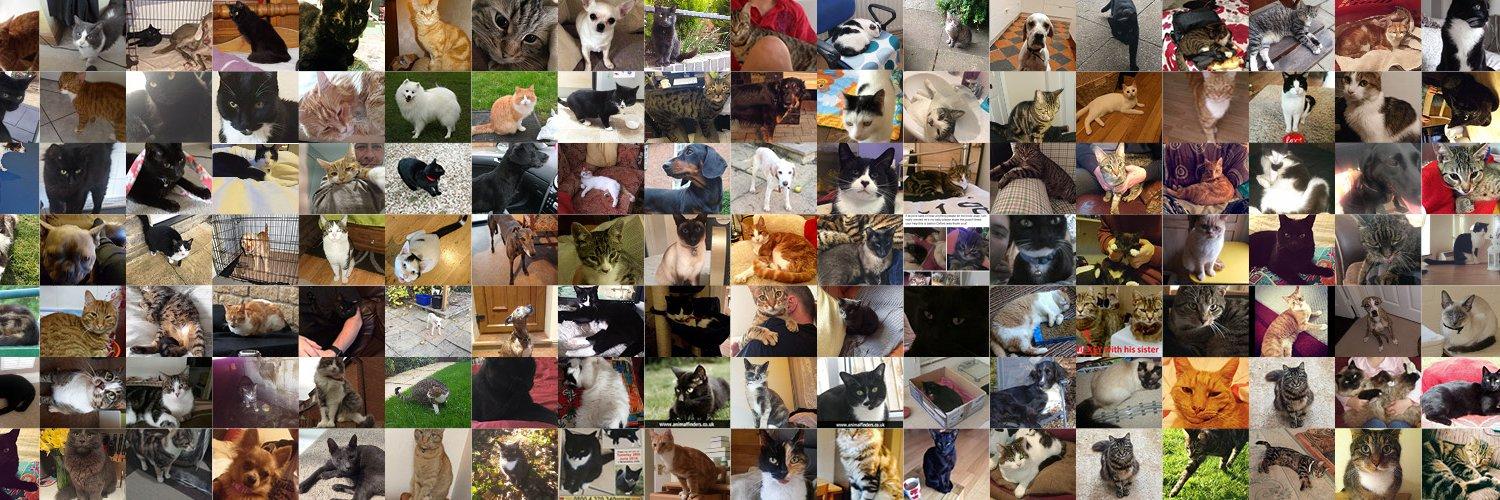 petsreunited's profile banner image