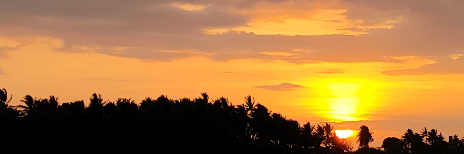 guiannetronco's profile banner image
