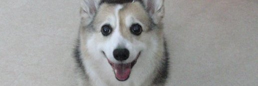 blue_moon47's profile banner image