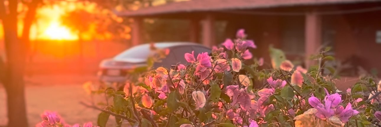 Def_responde's profile banner image