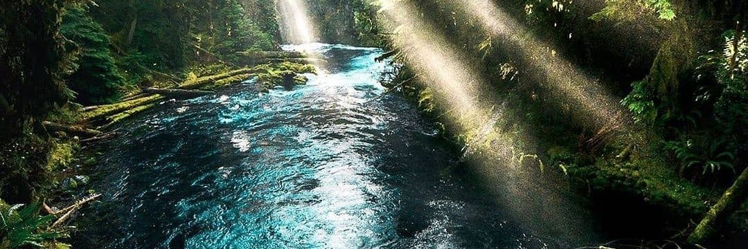 NathanPako's profile banner image