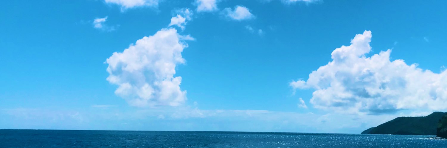 marisarazeek's profile banner image