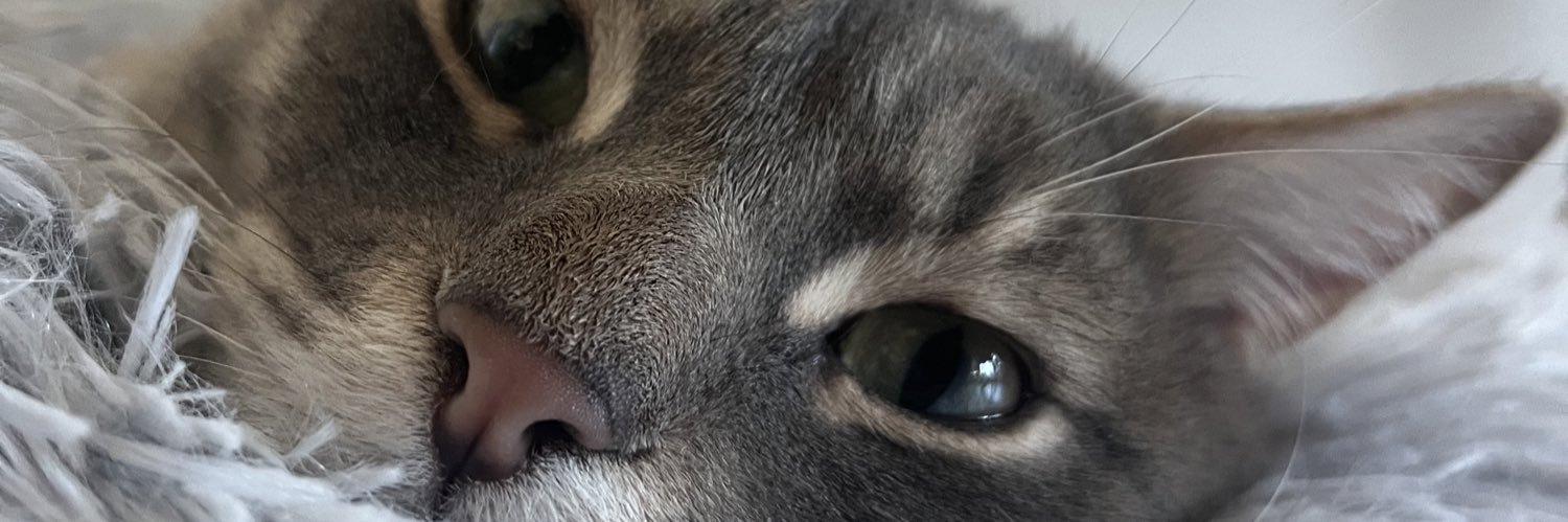 Fevton's profile banner image