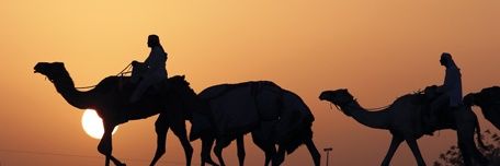 mhsury81's profile banner image