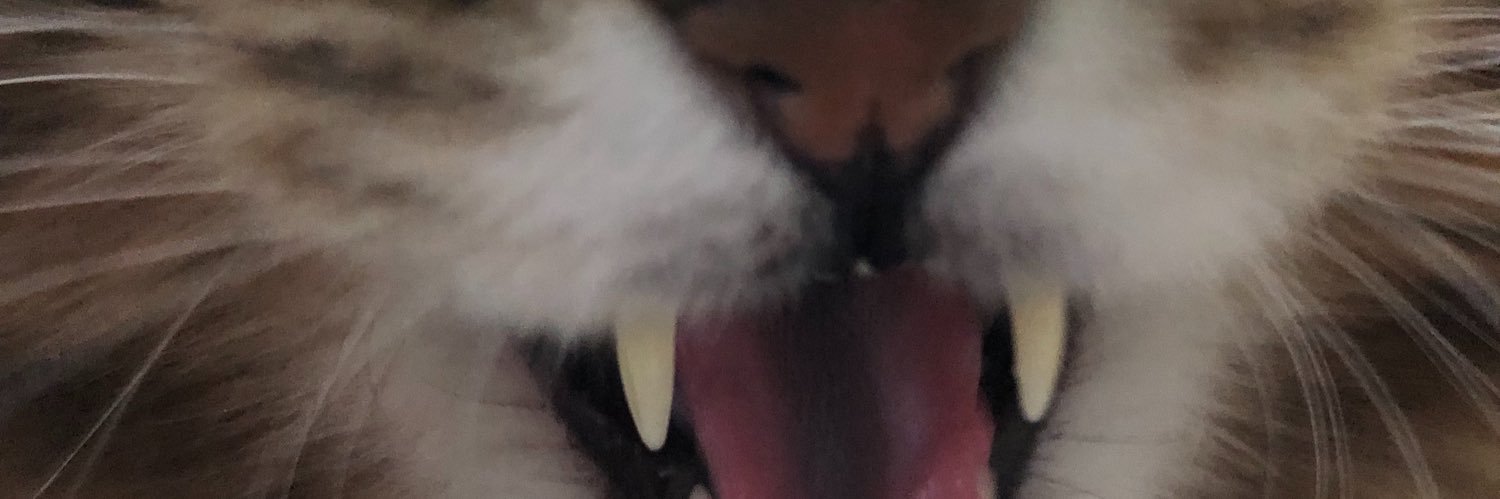 mick3333333333's profile banner image