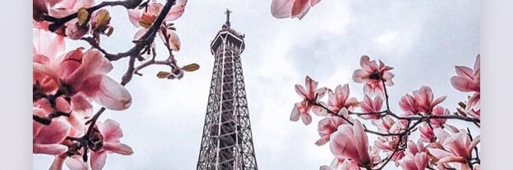 larafacchi76's profile banner image