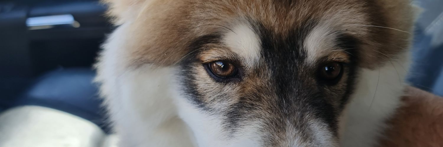 Maro6767's profile banner image