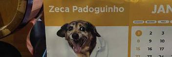 andrelarocca's profile banner image