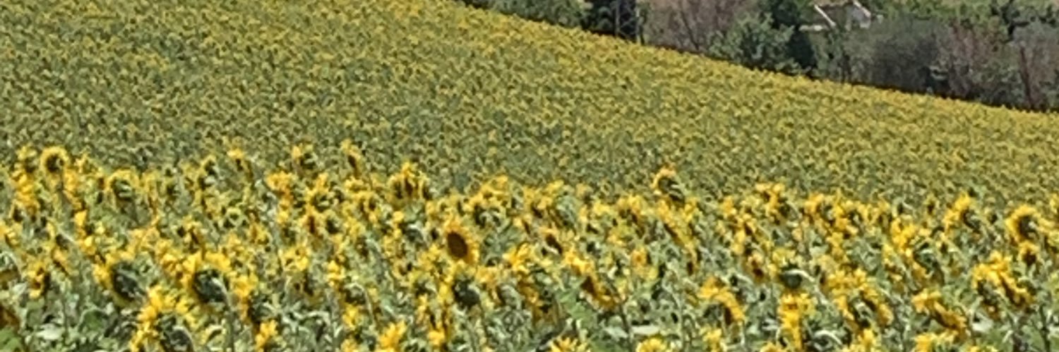 Flavia Fossa Margutti banner