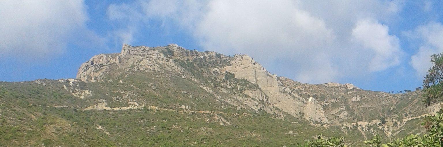 anyaSot's profile banner image