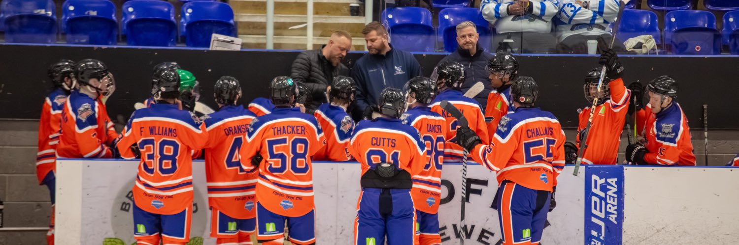 Sheffield Scimitars ⚔️ banner