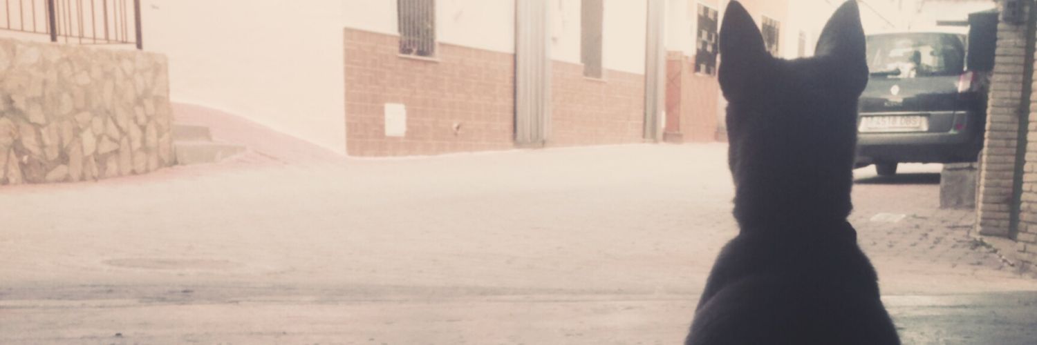 AdrinSnchez_99's profile banner image
