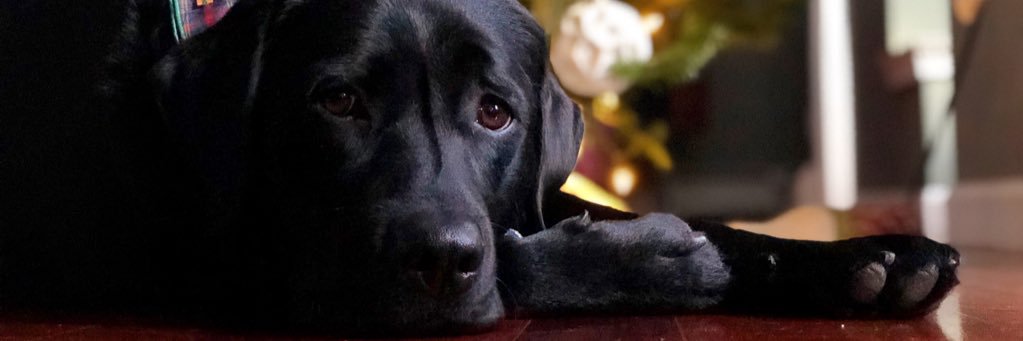 ccwalsh24's profile banner image