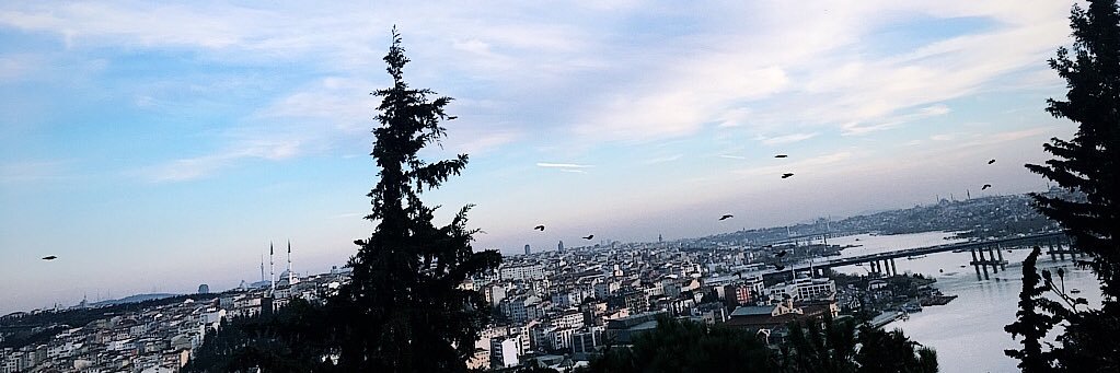 birdilekgibi's profile banner image