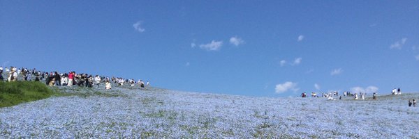 ccsoni Profile Banner