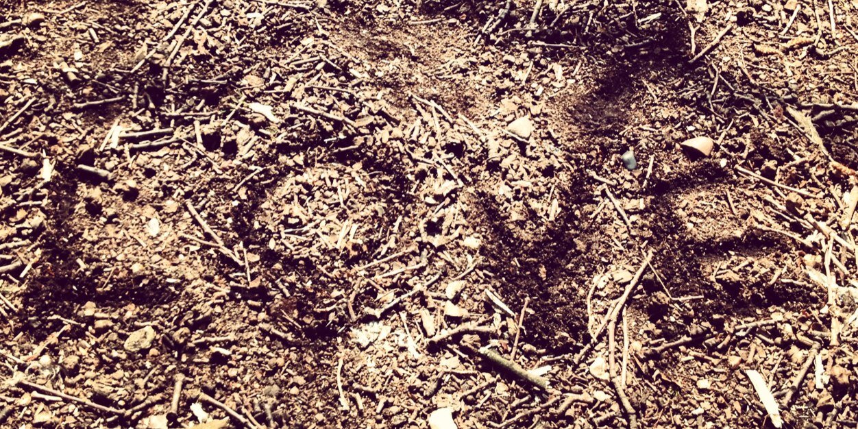 JuliaSpiesser's profile banner image
