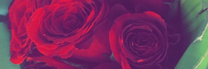 d_nowar013's profile banner image